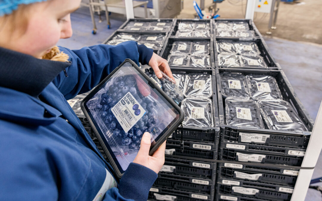 Teamleider Productie